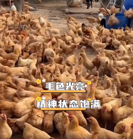 截图20260716093846.png 截图20260716093846.png