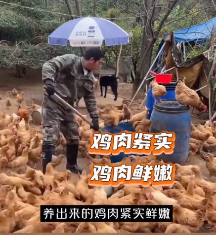 截图20260716094046.png 截图20260716094046.png