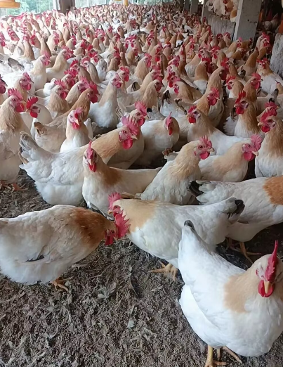 image.png image.png