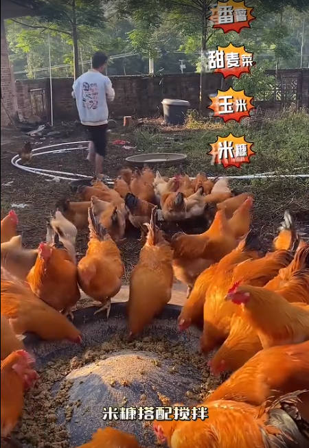 截图20260724091919.png