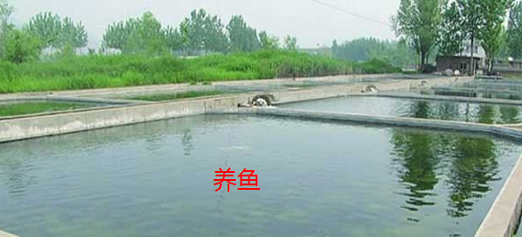 截图20260804111556.png