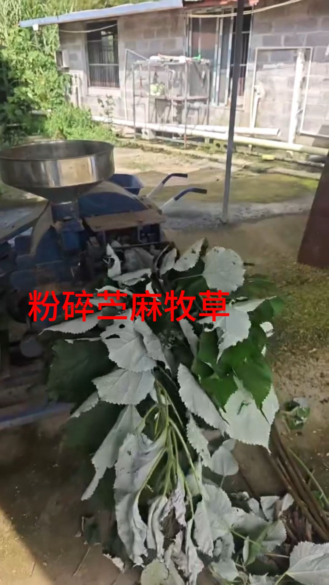 QQ图片20260706152133.jpg