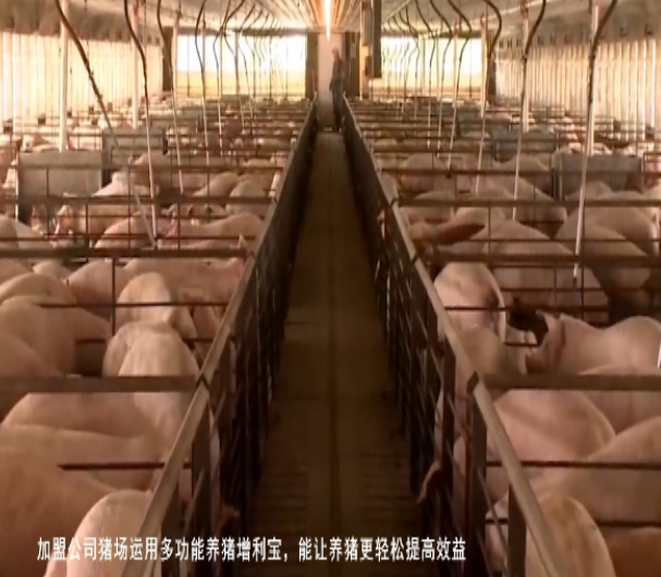 QQ浏览器截图20260811005528.png