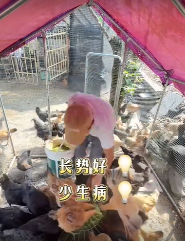 QQ浏览器截图20260811223623.png