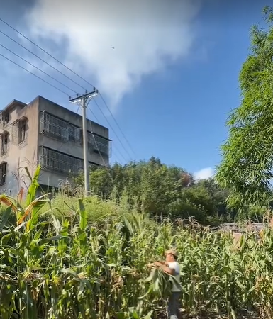 QQ浏览器截图20260811223834.png