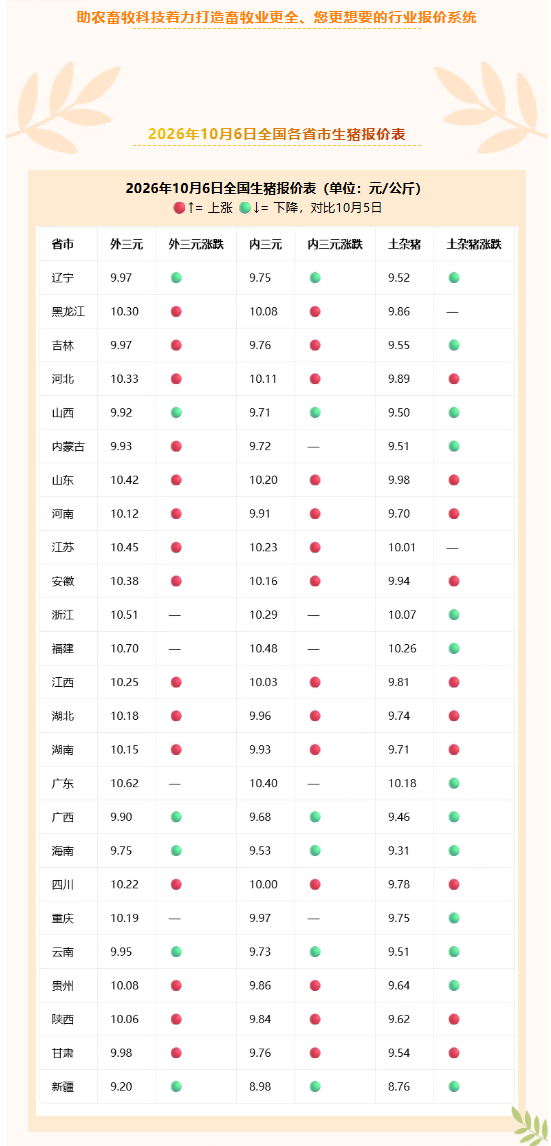 QQ_1791257042400.png