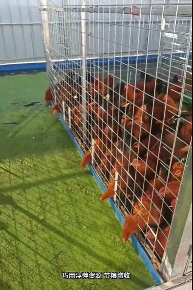 ScreenShot_2026-10-08_222957_682.png