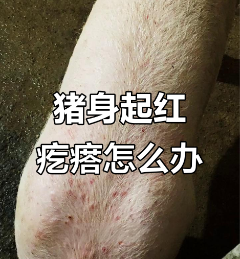 截图20261012093750.png