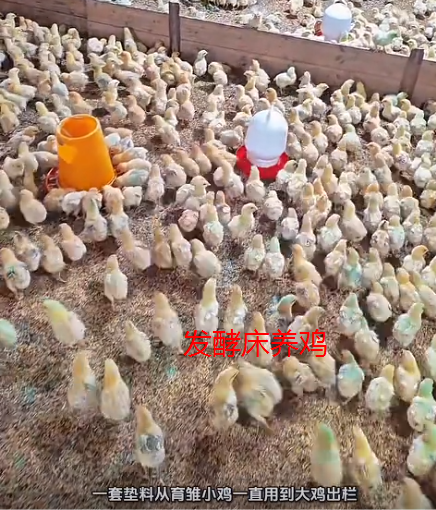 截图20261013100443.png