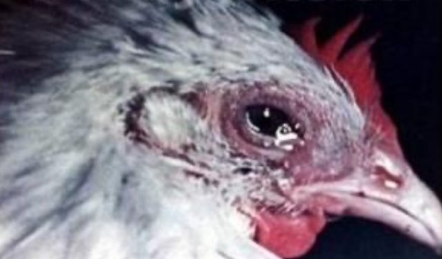 微信截图_20261014091438.jpg