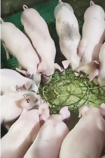 截图20261022103655.png