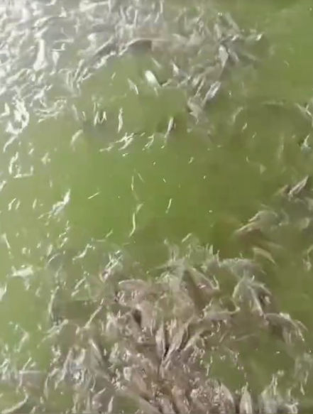 截图20261027094256.png